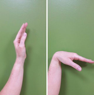 Exercising showing wrist being bent forwards.